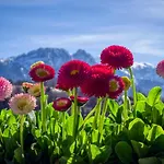 Maciejka, Odkryj-zakopane Bed & Breakfast 3*